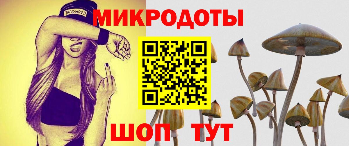 Псилоцибиновые грибы GOLDEN TEACHER Красноярск