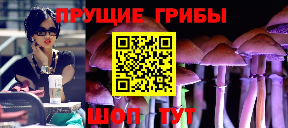 Красноярск  Псилоцибиновые грибы прущие грибы  Галлюциногенные грибы мухоморы  сколько стоит  Вход с VPN 